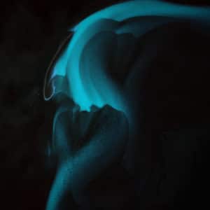 RiverVeins1
