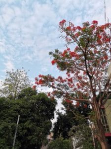 IMG 20190502 173030