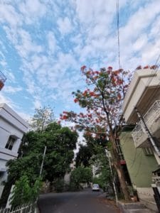 IMG 20190502 173036