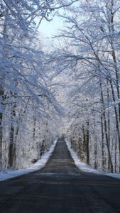 winter road way 5k 0y 1440x2560
