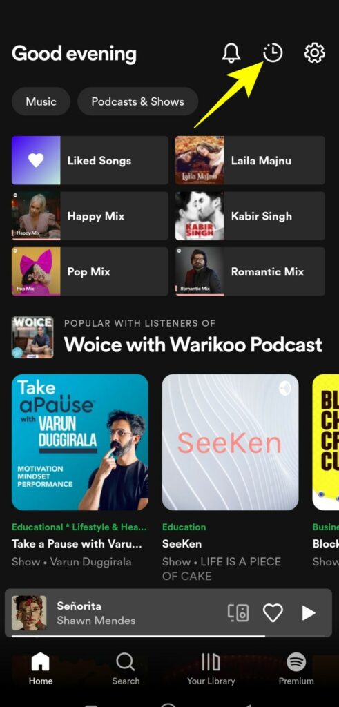 View Spotify Stats 01