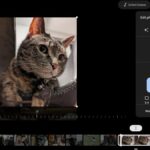 Google Photos Movie Editor