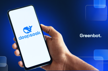DeepSeek