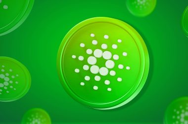 cardano cools off after drop