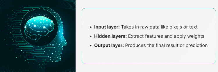Neural Networks