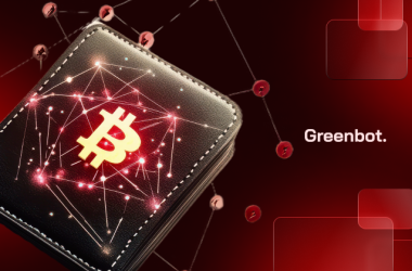 hot wallet vs cold wallet