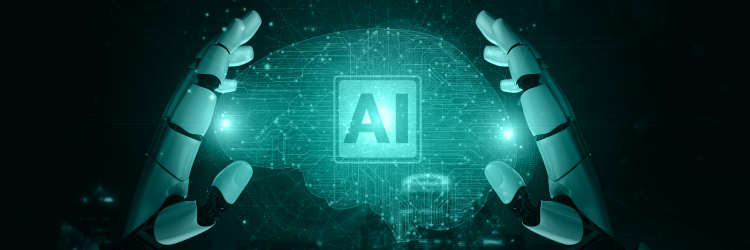 Hybrid AI Systems