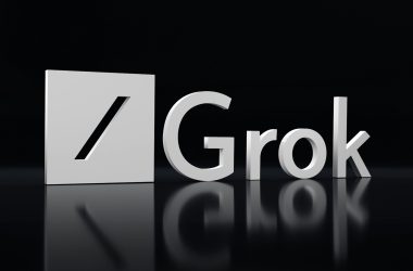 grok ai companions nsfw